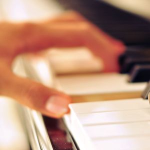 POrondrome重口另类
