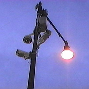 POrondrome重口另类
