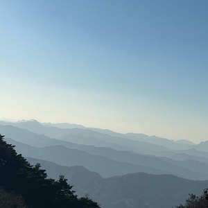 POrondrome重口另类
