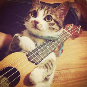 POrondrome重口另类
