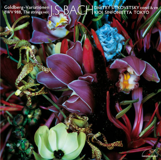 POrondrome重口另类
